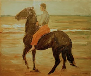 Young Rider – Horse Groom on the Beach
